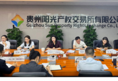 咬定目標(biāo)不放松  攻堅(jiān)克難再向前——貴州陽光產(chǎn)權(quán)交易所召開2024年上半年經(jīng)營分析會(huì)