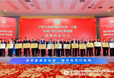 貴州陽光產(chǎn)權(quán)交易所當(dāng)選中國(guó)產(chǎn)權(quán)協(xié)會(huì)常務(wù)理事單位