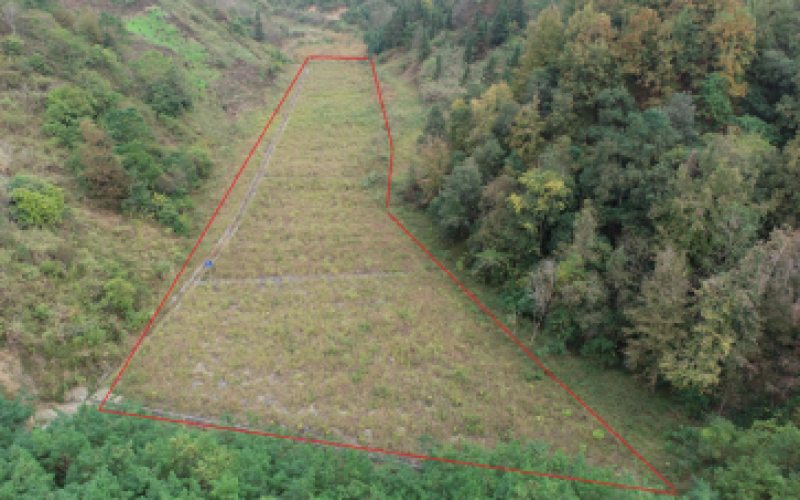 S62余安高速羅望段土地使用權招租（填平區(qū)4）