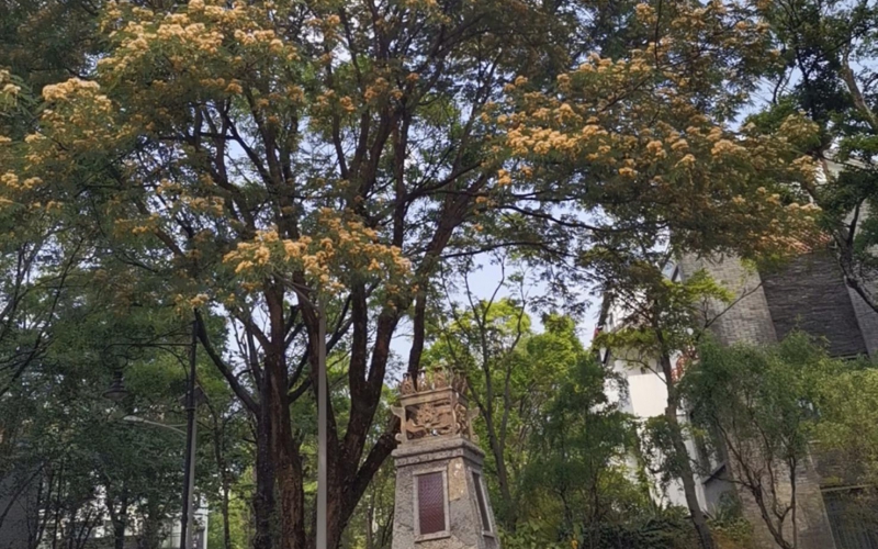 云南省大理山水間二期一組團草鷺4－2號房產(chǎn)轉(zhuǎn)讓(二次掛牌)