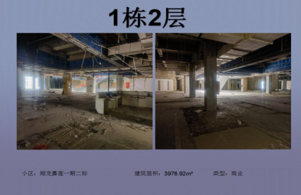 安龍翔龍嘉蓮項(xiàng)目(商業(yè))